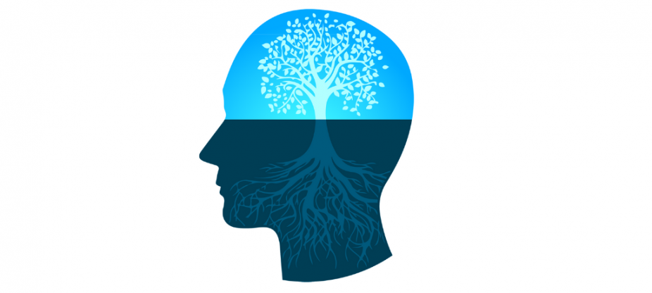 Human brain with deep tree root